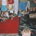 memphis peabody ducks
