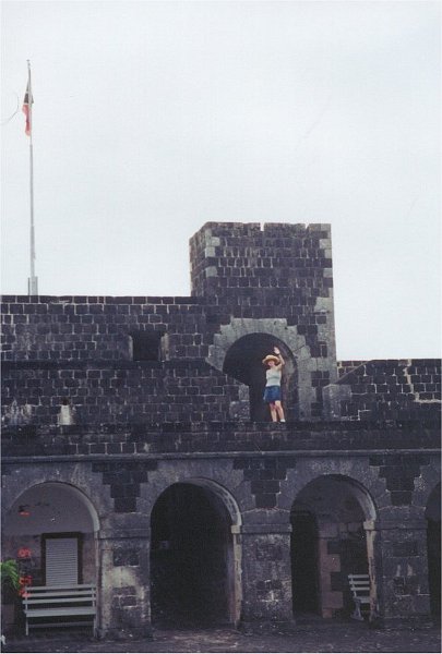 lisa brimstone fort1