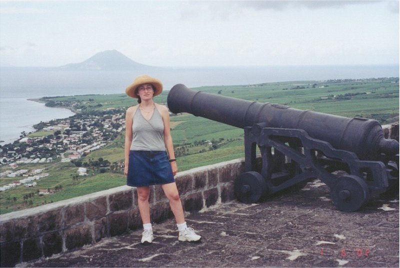 lisa brimstone fort2