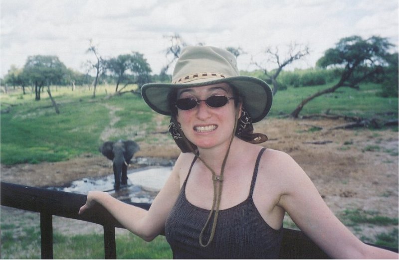 botswana lisa savute elephant
