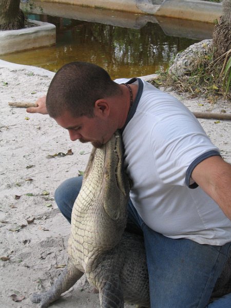 florida 0017
