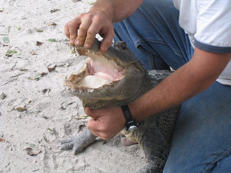 florida 0021