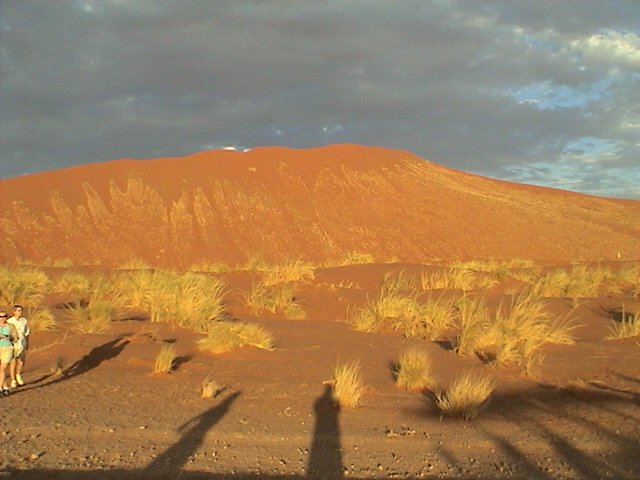 namibia dunes5 d