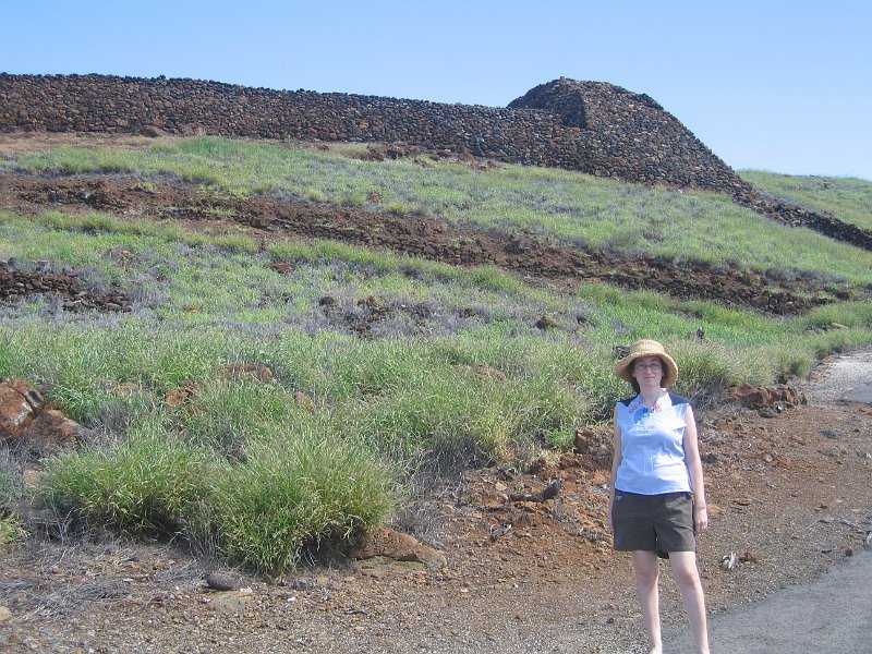 bigisland kohala 0002
