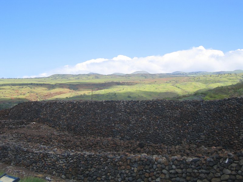 bigisland kohala 0003