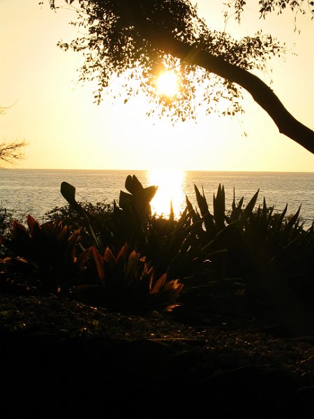 bigisland luau 0005