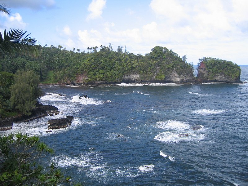 bigisland palmscliff 0001