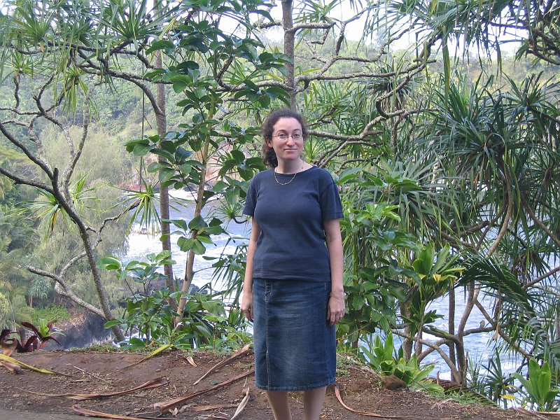 bigisland palmscliff 0003