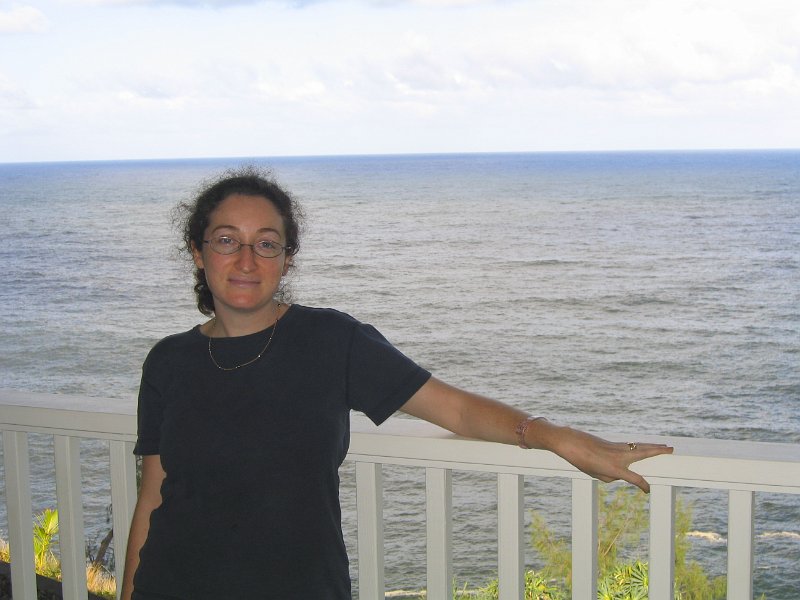bigisland palmscliff 0005