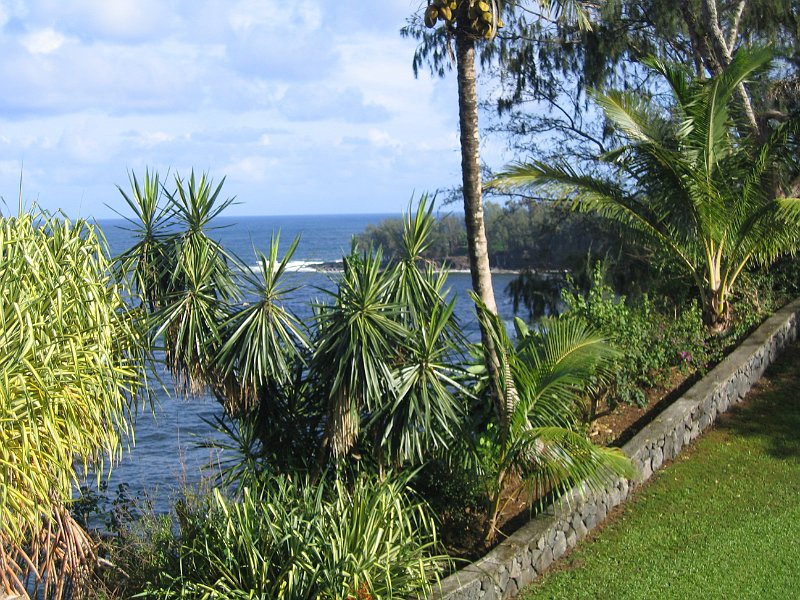 bigisland palmscliff 0006