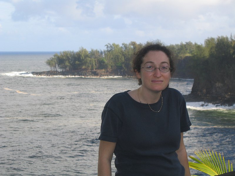 bigisland palmscliff 0008