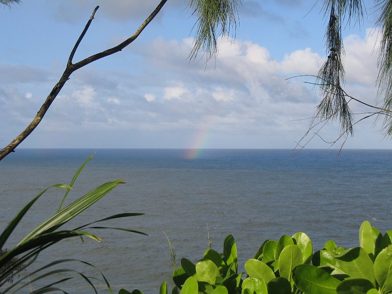 bigisland palmscliff 0011