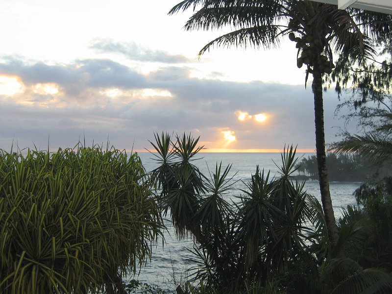bigisland palmscliff 0013