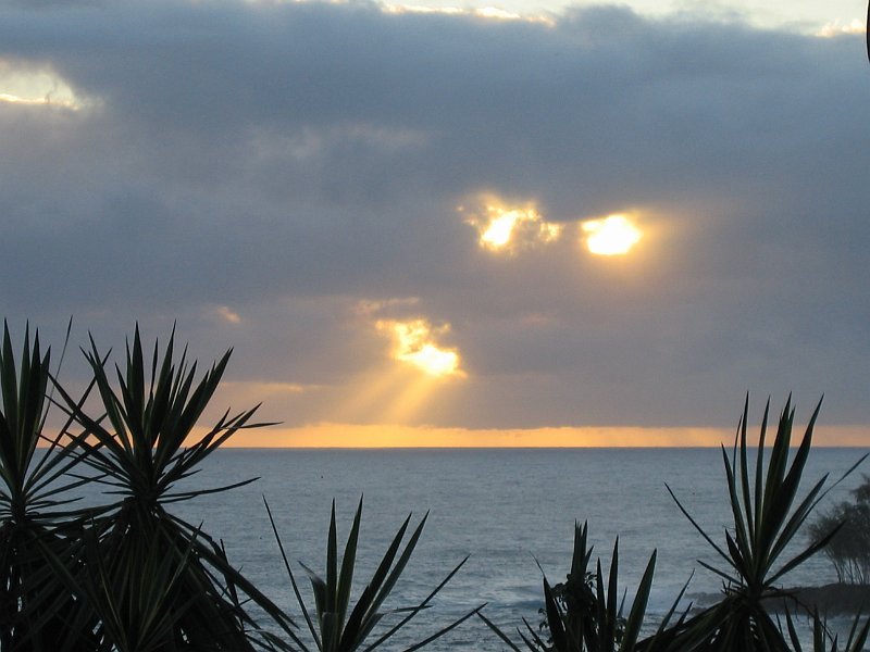 bigisland palmscliff 0014