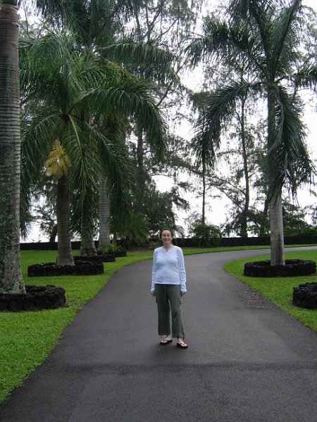 bigisland palmscliff 0018