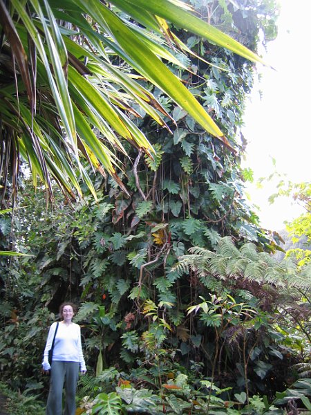 bigisland tour 0006