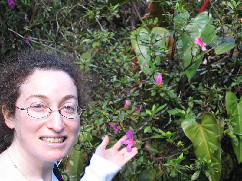 bigisland tour 0008