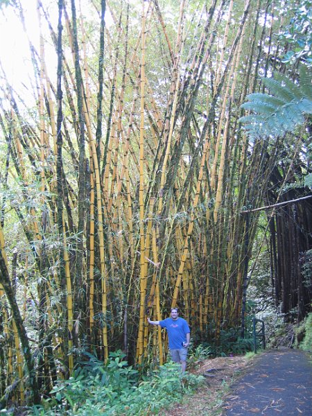bigisland tour 0011