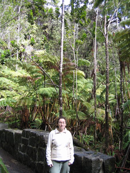 bigisland volcano 0026