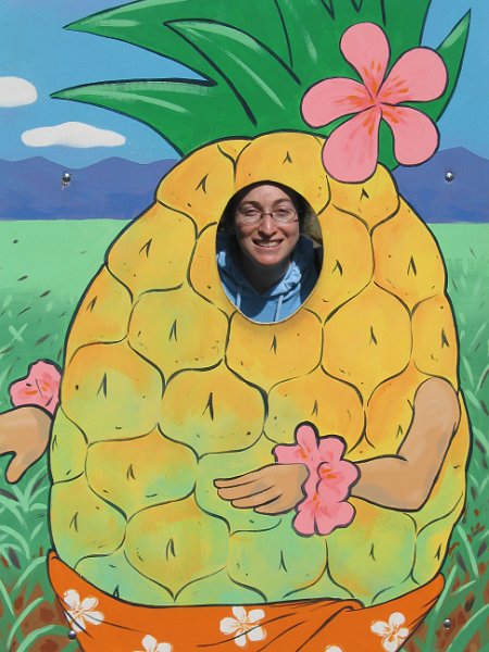 oahu dole 0004