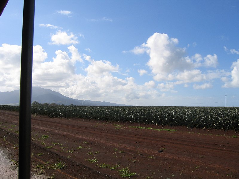 oahu dole 0012