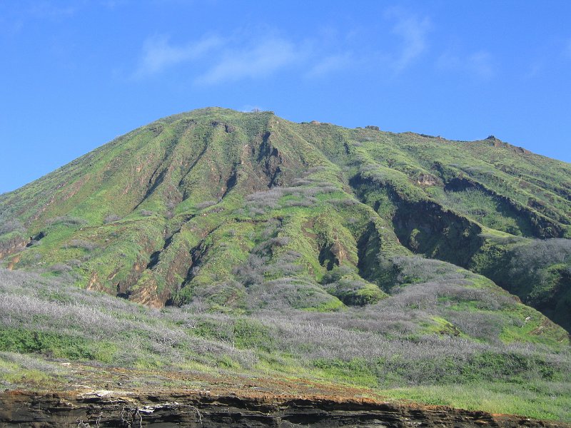 oahu island tour 0008