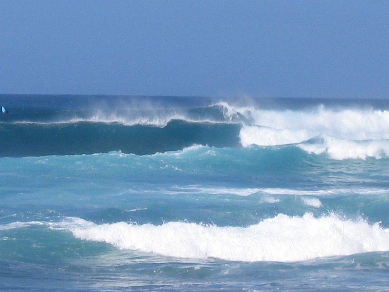 oahu surfers 0002