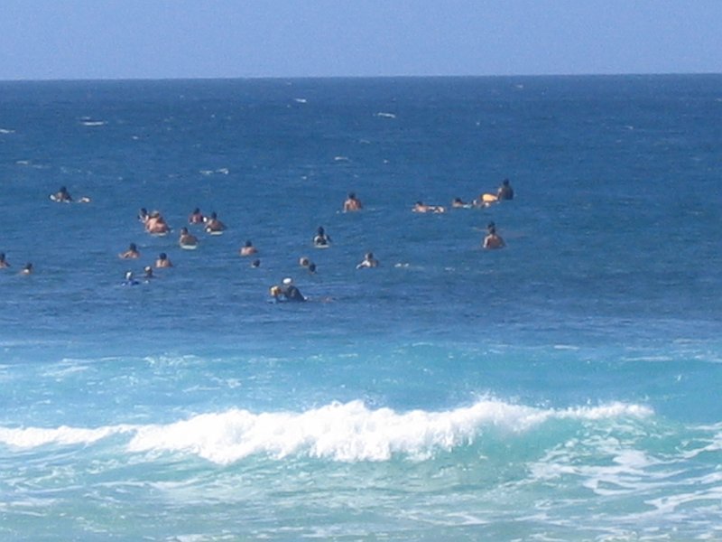 oahu surfers 0011