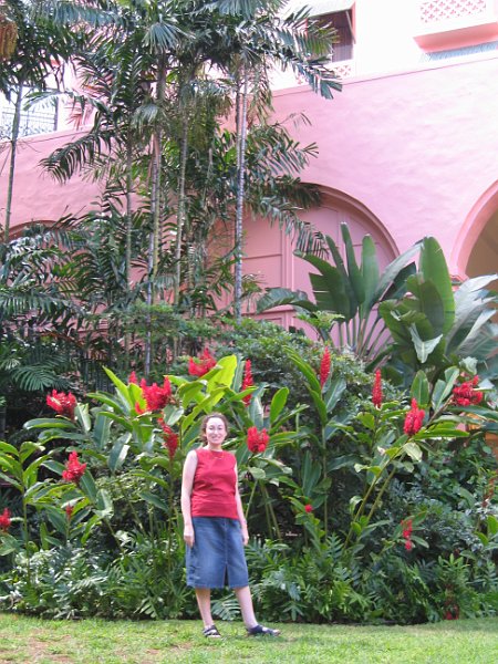 oahu waikiki 0019