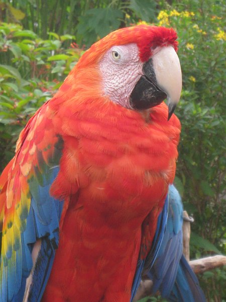 Florida Mexico 2008 0158