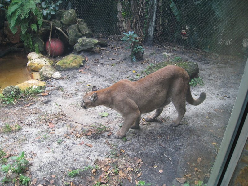 Florida Mexico 2008 0188