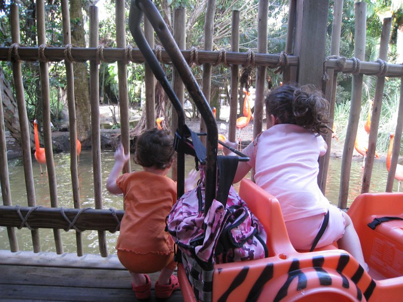 Florida Mexico 2008 0190