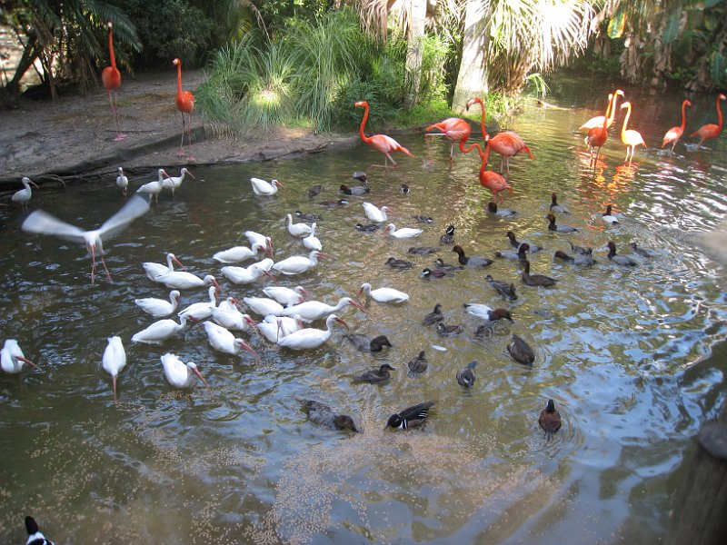 Florida Mexico 2008 0191