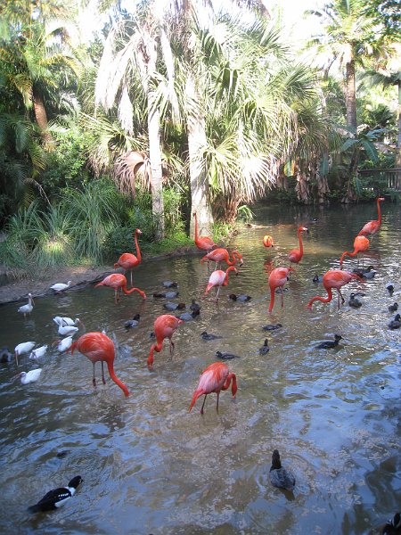 Florida Mexico 2008 0192