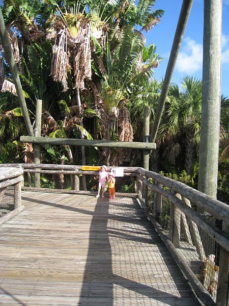 Florida Mexico 2008 0195