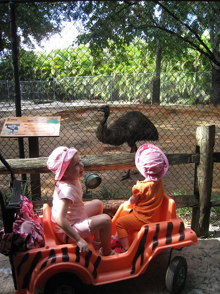 Florida Mexico 2008 0196