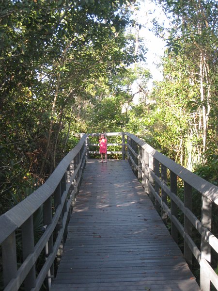 Florida Mexico 2008 0216