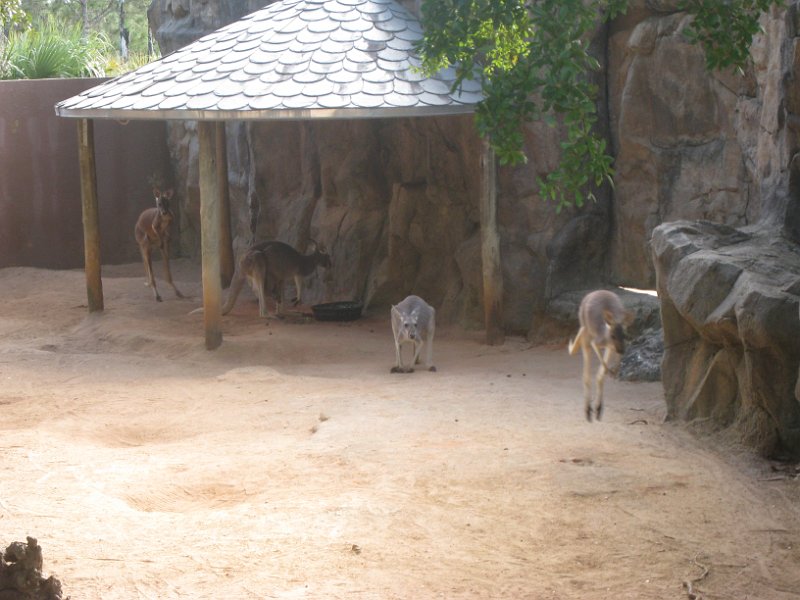 Florida Mexico 2008 0245