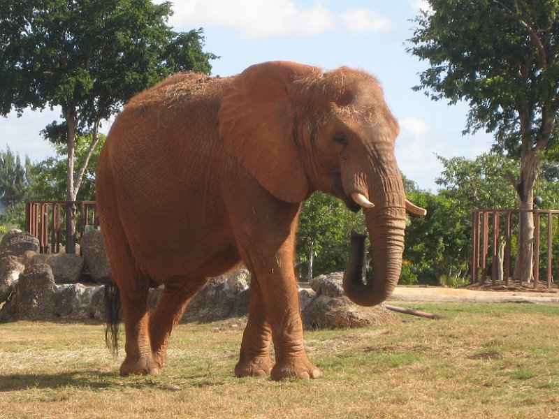 Florida Mexico 2008 0250