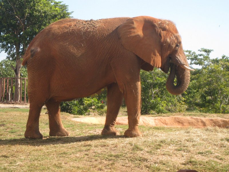 Florida Mexico 2008 0252