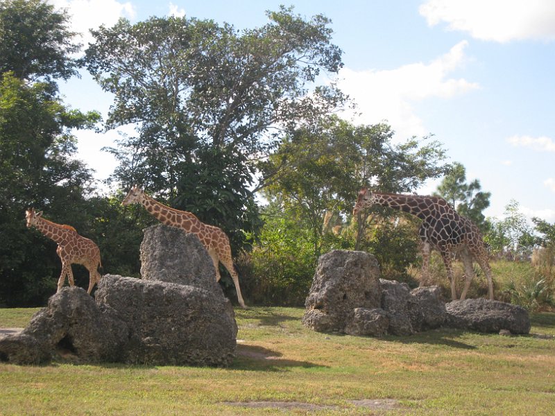 Florida Mexico 2008 0254