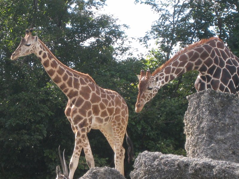 Florida Mexico 2008 0255