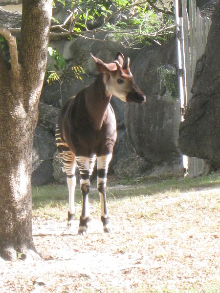 Florida Mexico 2008 0256