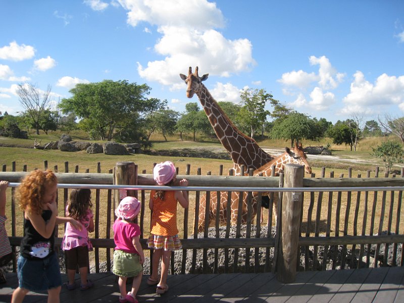 Florida Mexico 2008 0260