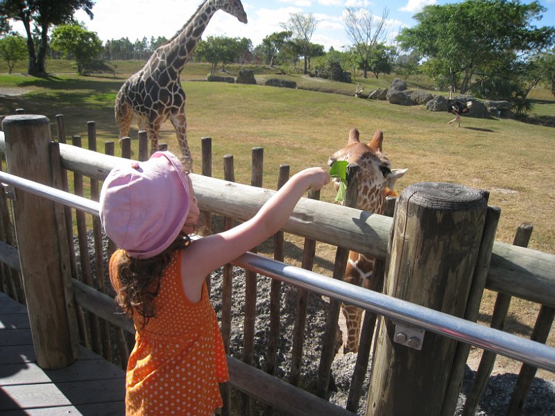 Florida Mexico 2008 0261