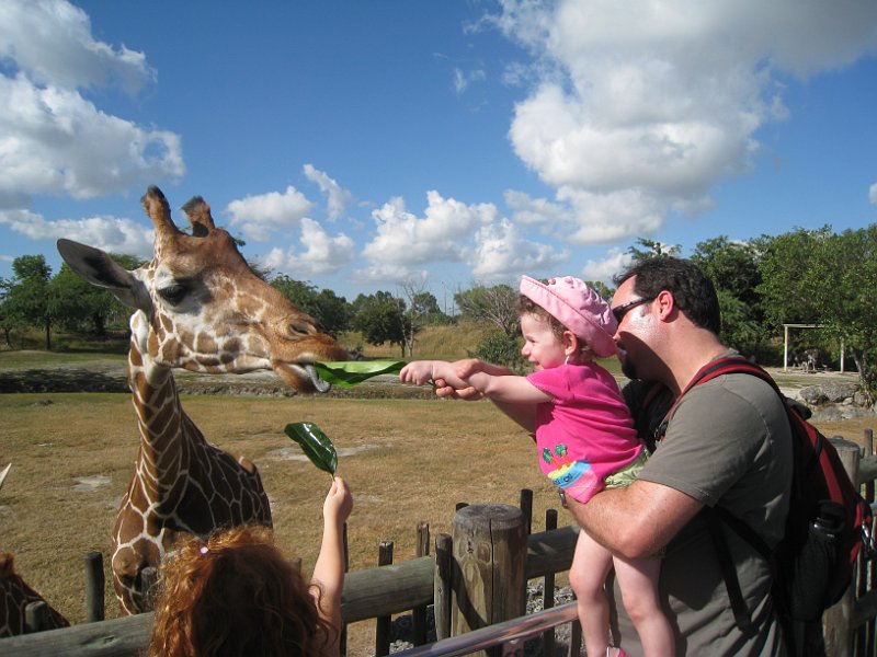 Florida Mexico 2008 0262