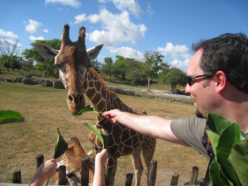 Florida Mexico 2008 0264