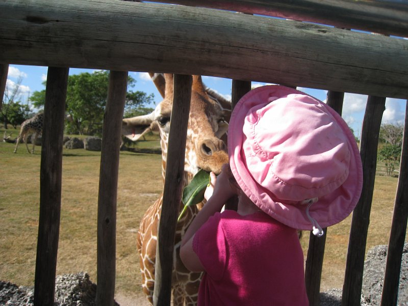 Florida Mexico 2008 0265