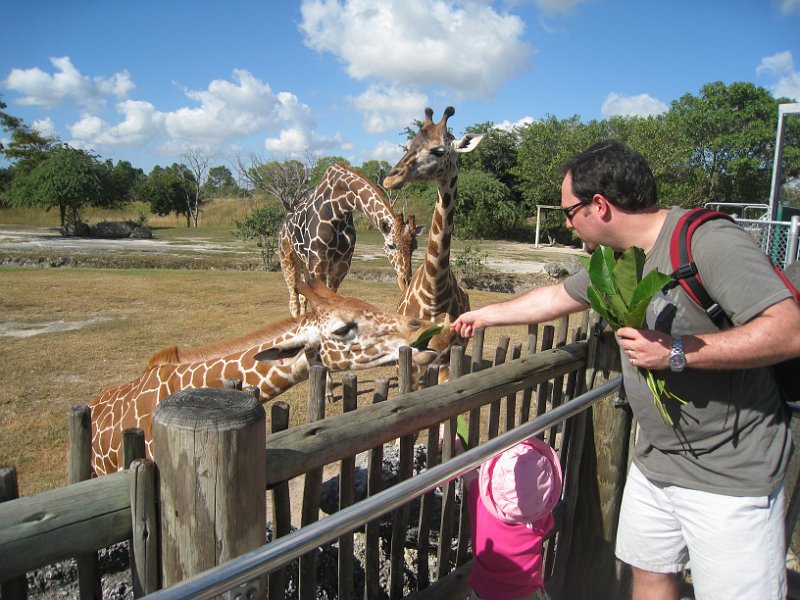 Florida Mexico 2008 0266