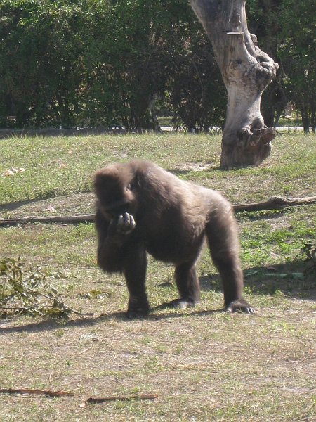 Florida Mexico 2008 0268